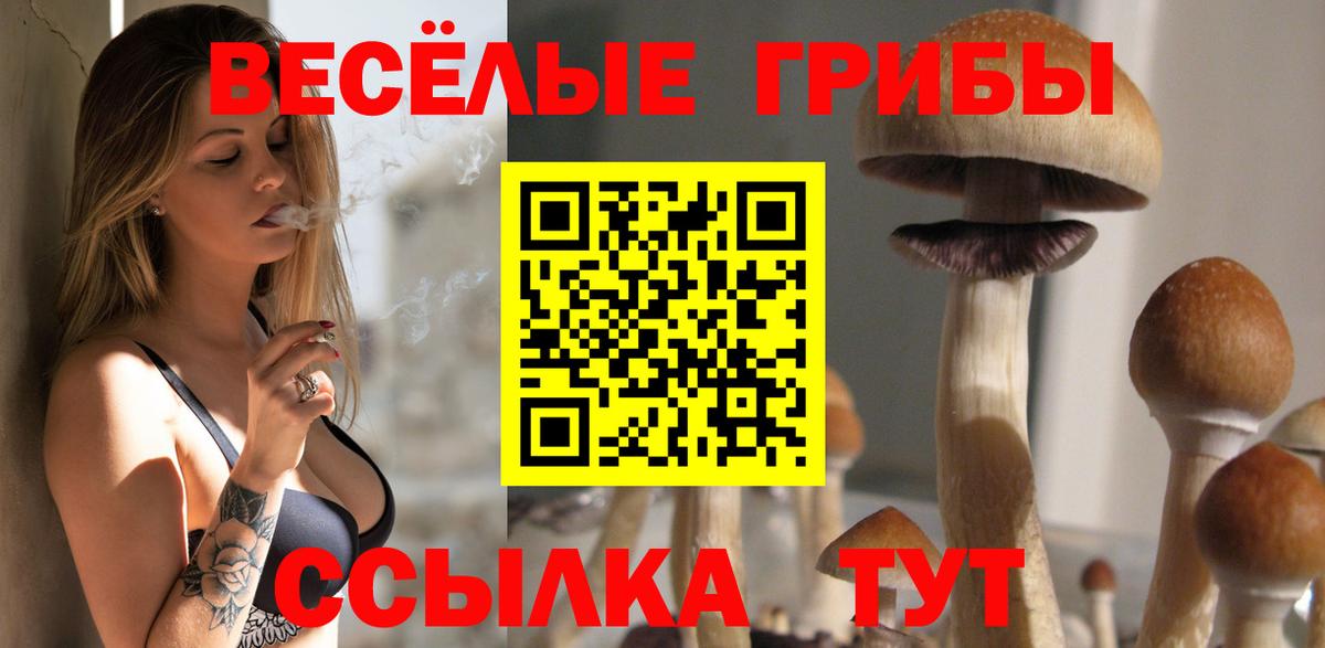 Псилоцибиновые грибы Psilocybine cubensis  Вход с VPN  Миллерово 